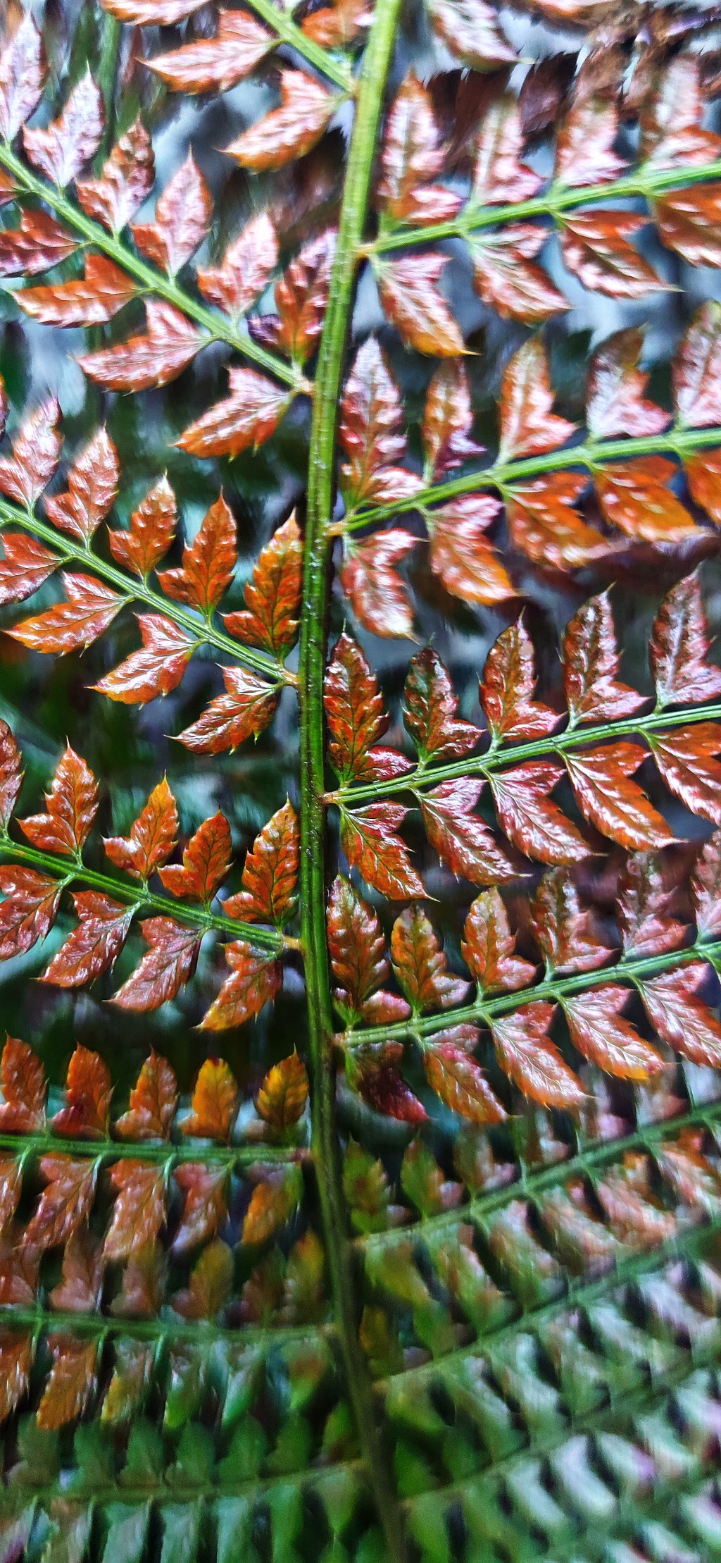 Il mondo di&nbsp;tutti