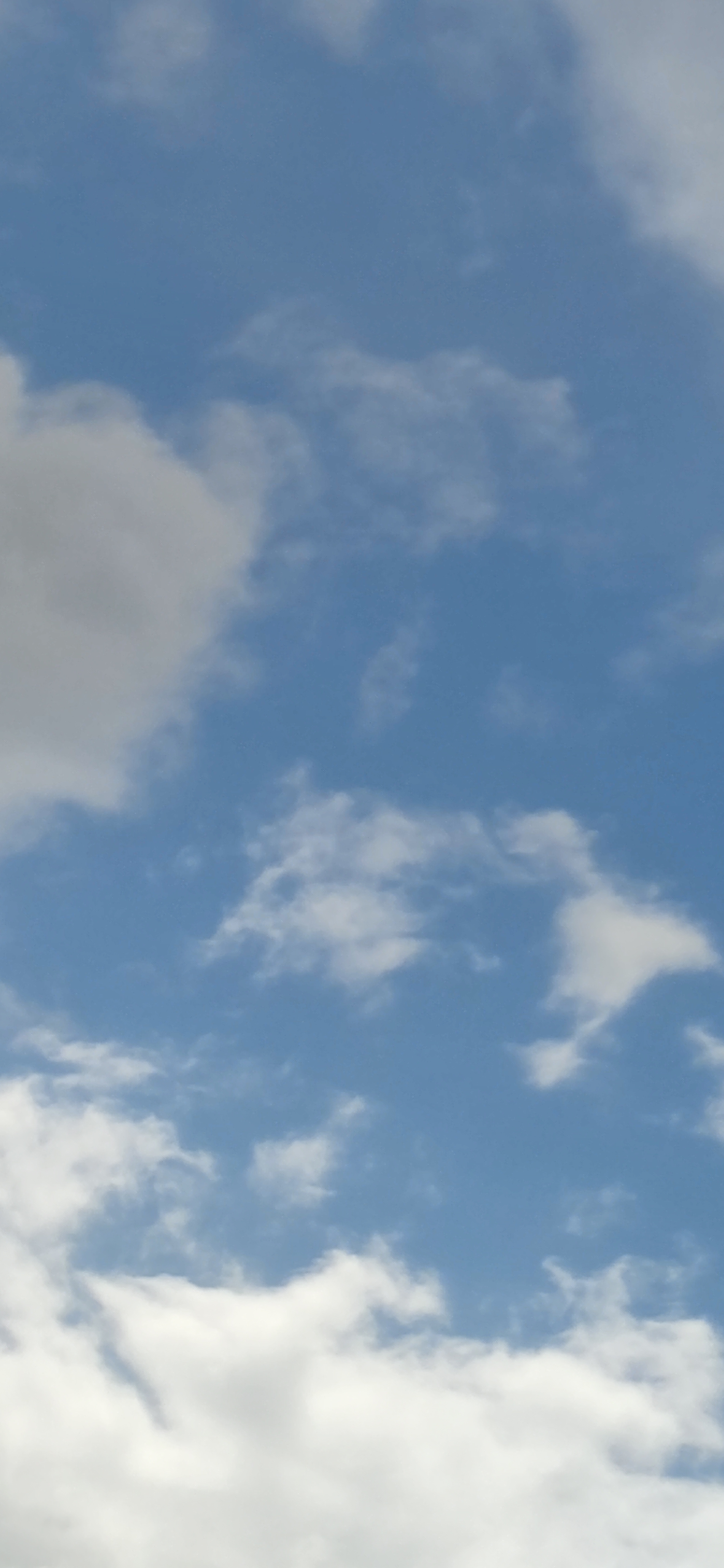 Come le nuvole, la libertà