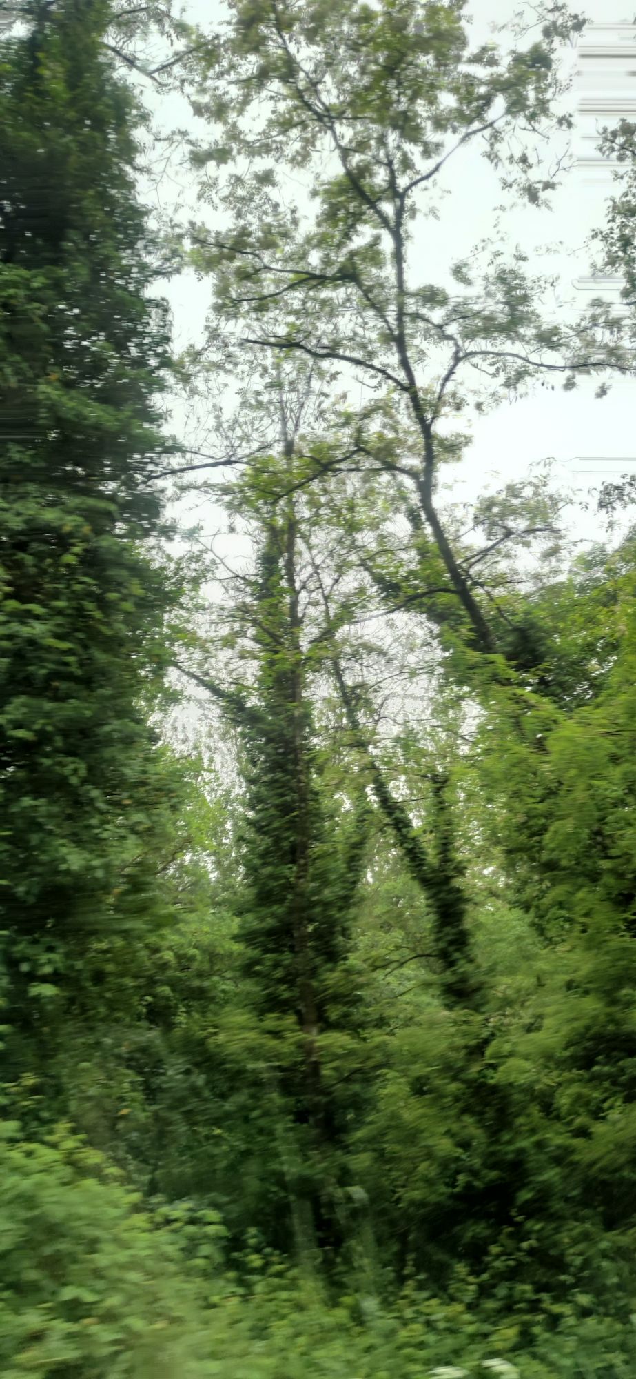 In mezzo al “nulla”