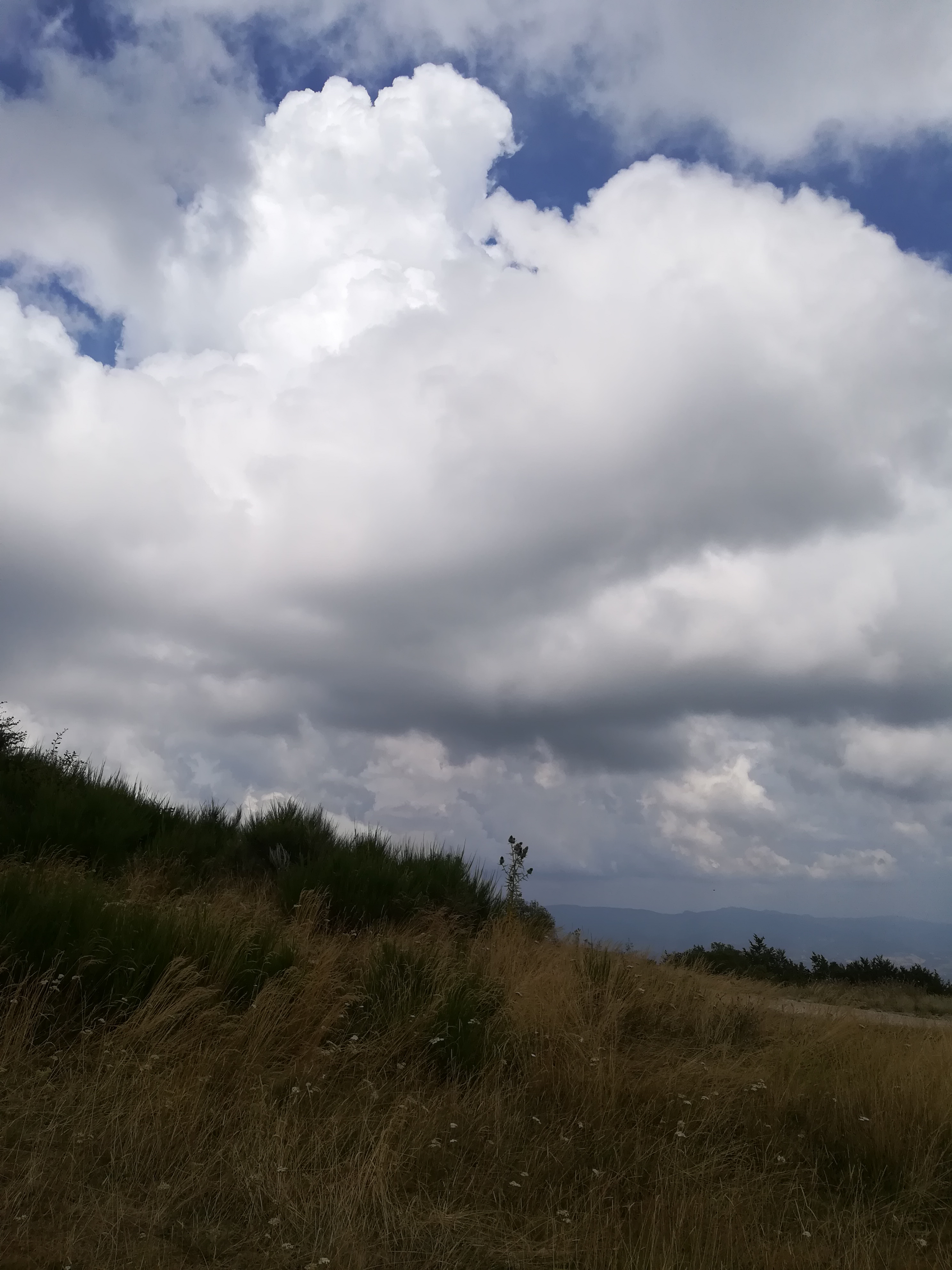 Il silenzio che spaventa