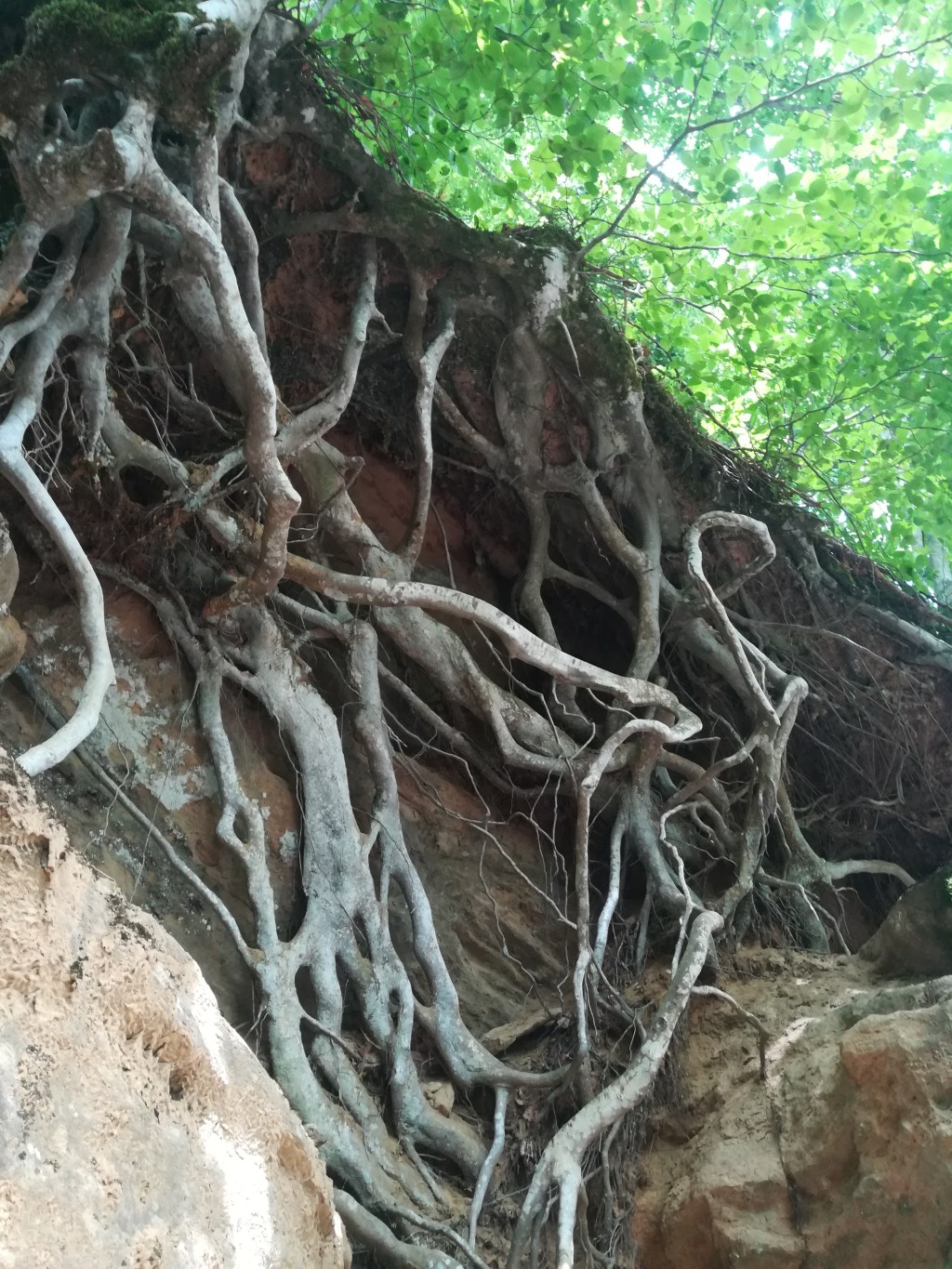 L’Accessorio da non Dimenticare: il&nbsp;Rispetto.