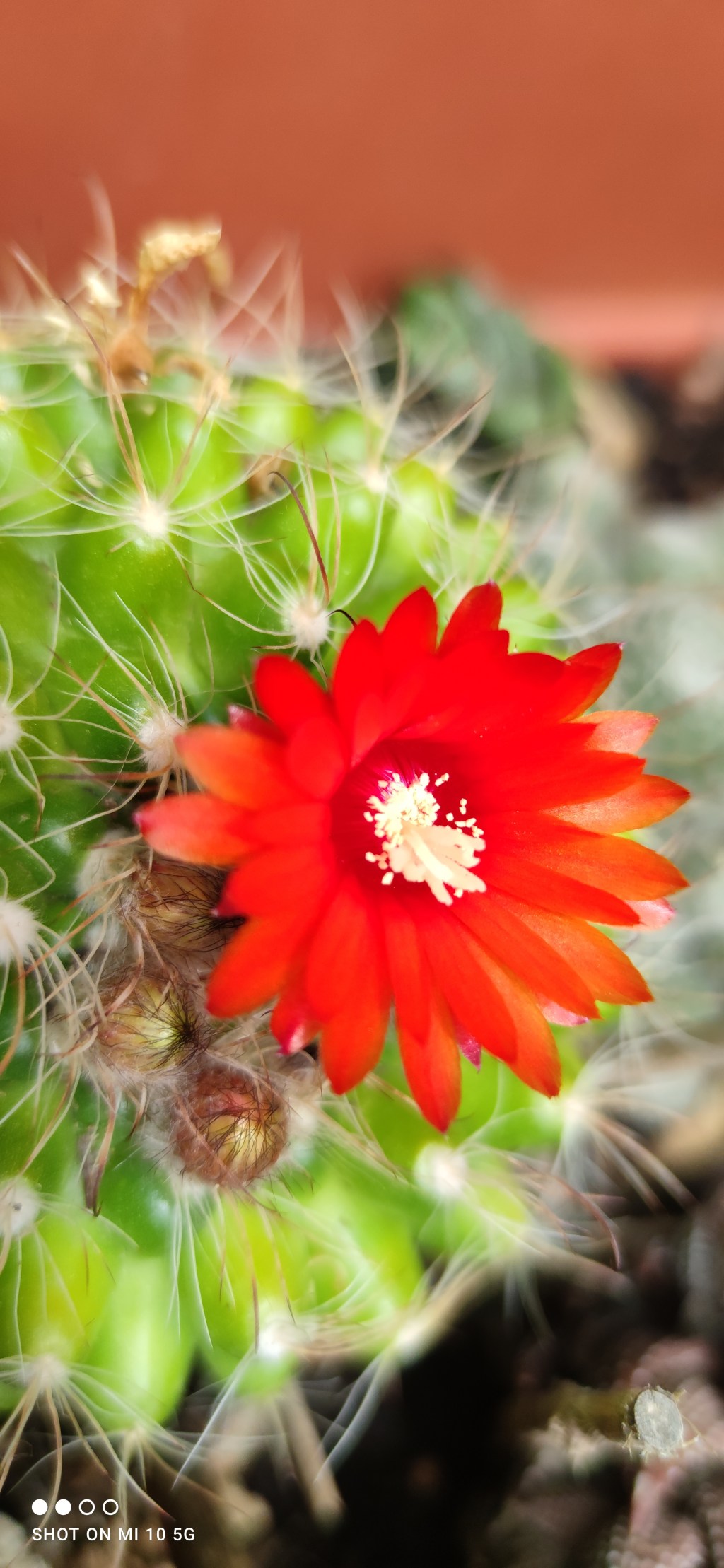 Non solo clima: le stagioni raccontano chi&nbsp;siamo.