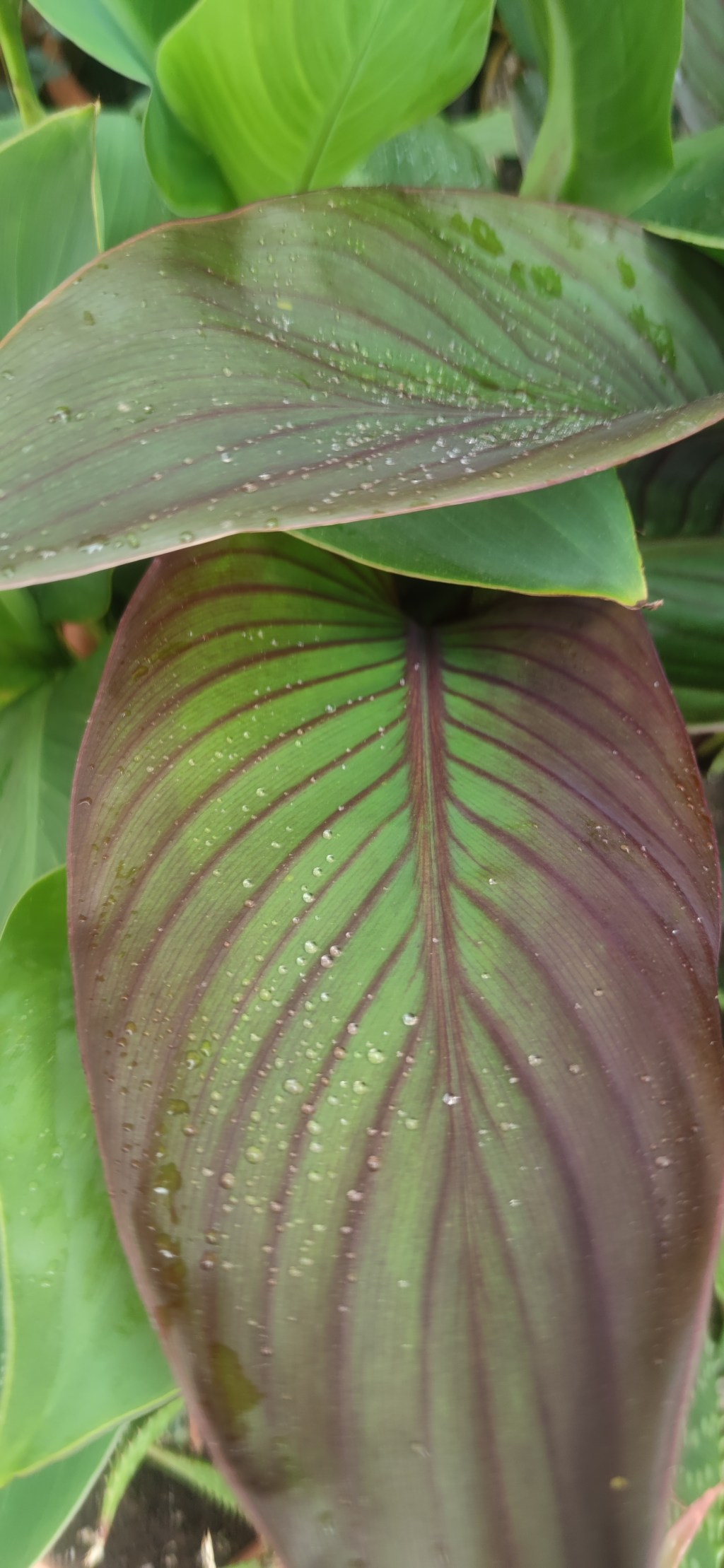 Oltre la cronaca: l’impatto profondo di ciò che accade ogni&nbsp;giorno.