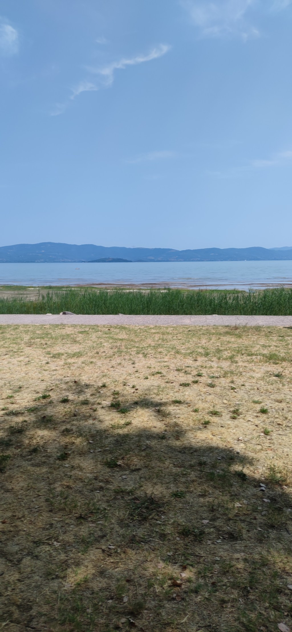 Lo Specchio Infranto: Coltivare la Vita in un Deserto&nbsp;Arido.