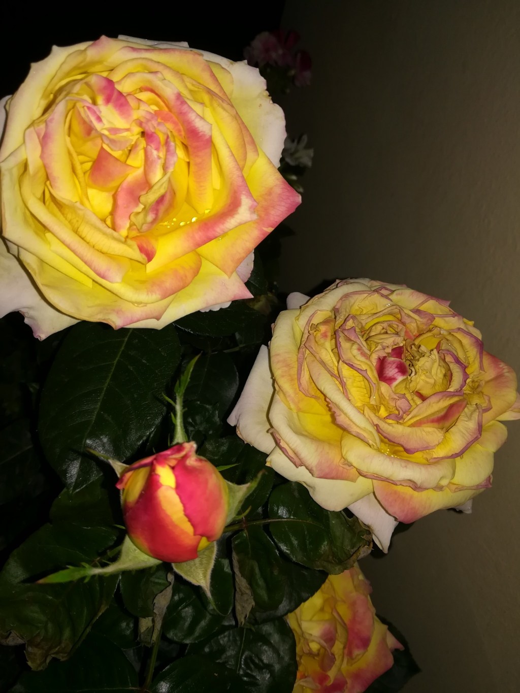 La luce di notte: una solitudine che&nbsp;scompare