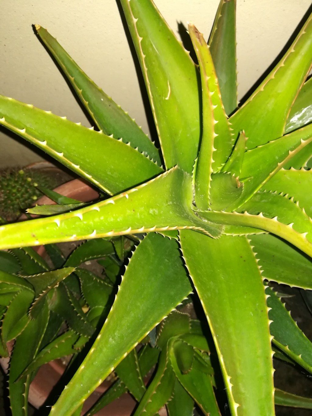 Dare tempo al&nbsp;tempo