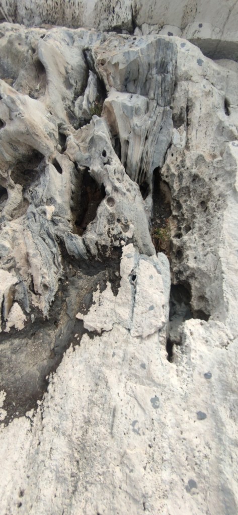 Forte. Ruvidità indissoluta.