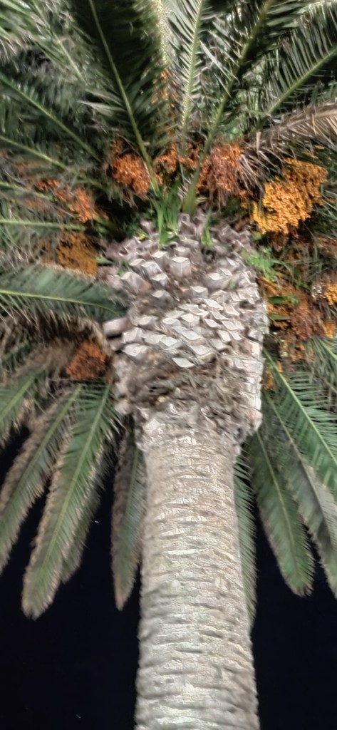 wp-17722991237112509647014460013859