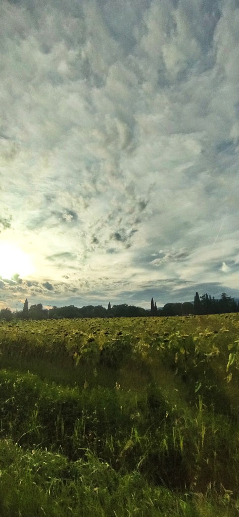 Sorriso lontano dagli occhi.