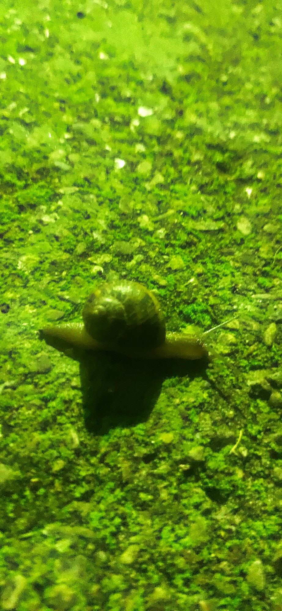 L’allenamento Più Faticoso del Mondo