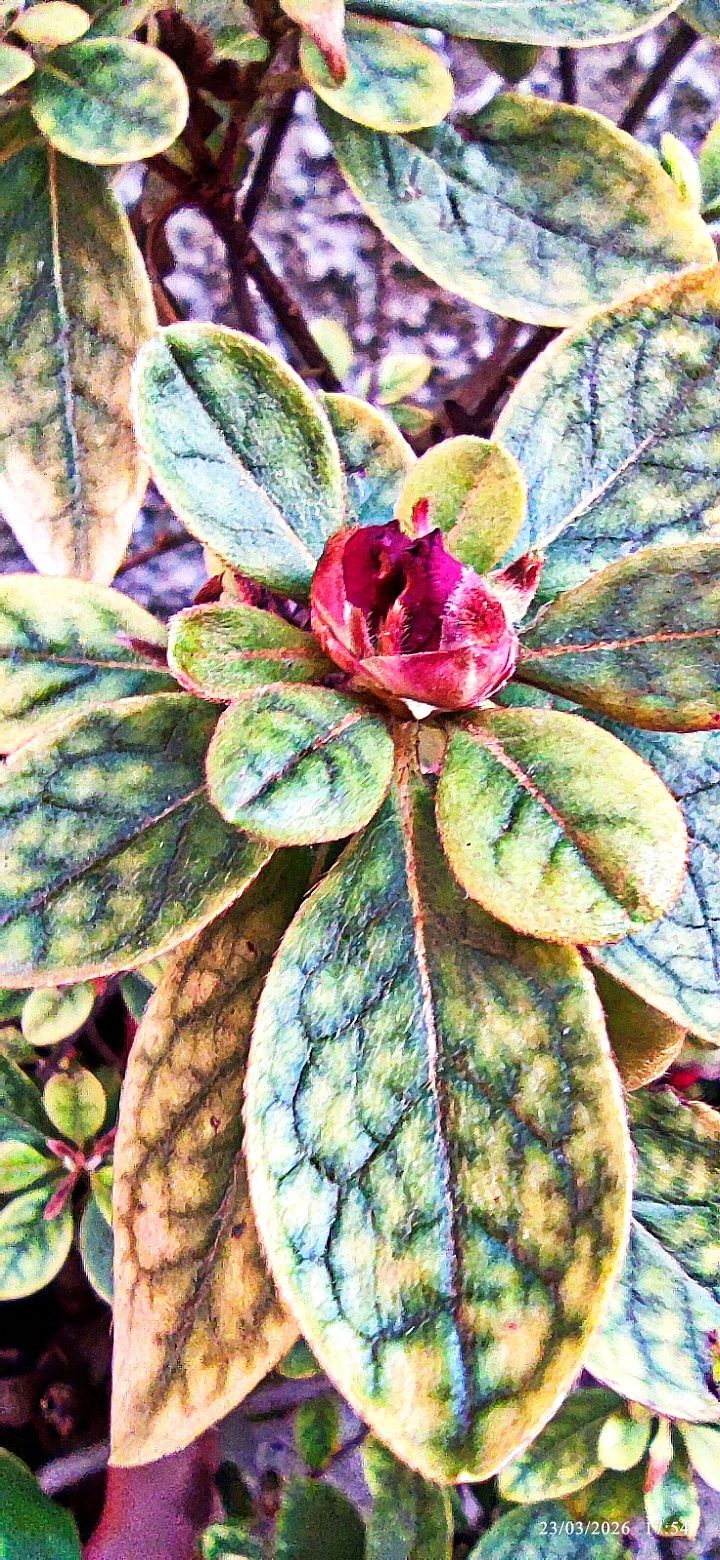 L’Arte dell’Incontro: Perchè il Vero Valore di una Persona Risiede nel Rispetto Oltre la Comprensione